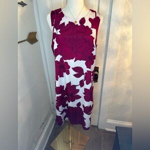 Banana Republic Red and White Floral Dress
